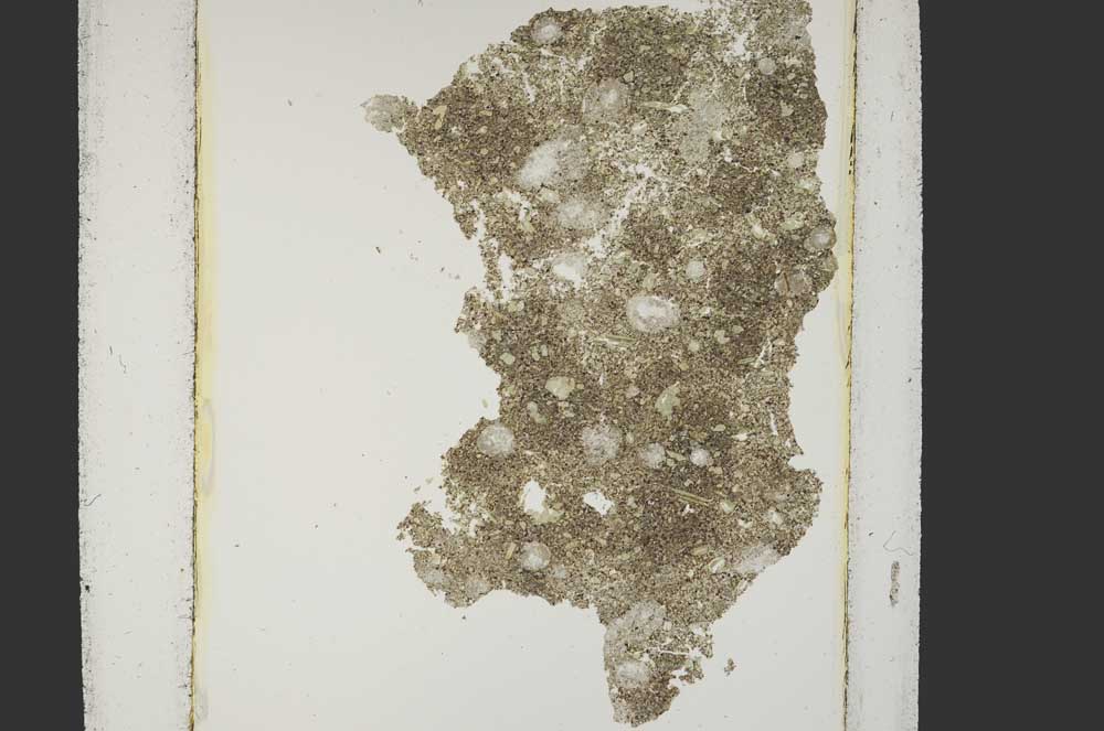 Plane Polarized, S15208