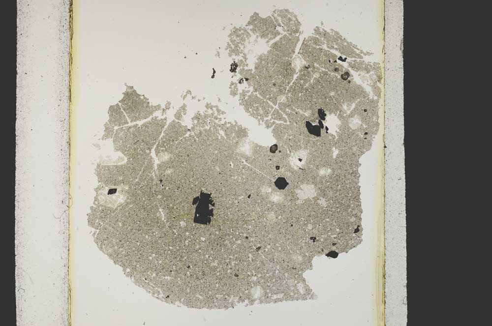 Plane Polarized, S15216