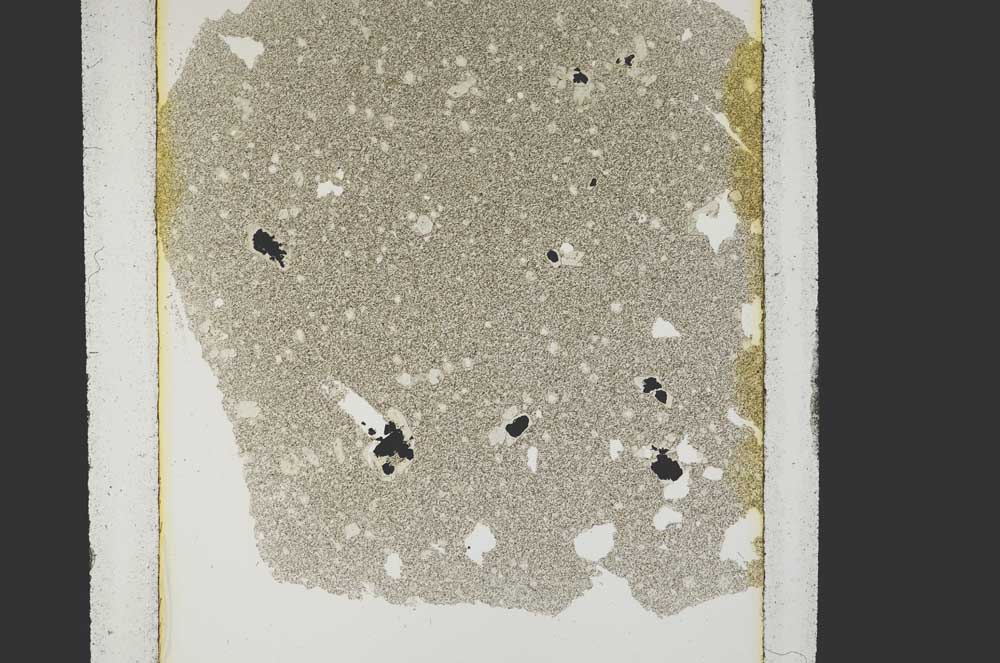 Plane Polarized, S15219