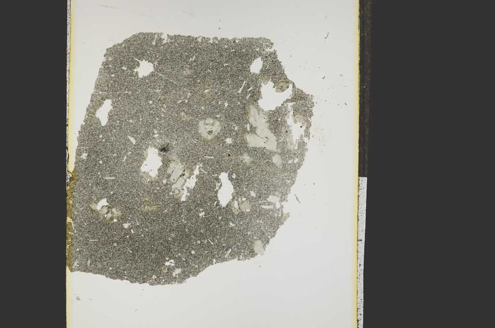 Plane Polarized, S15232