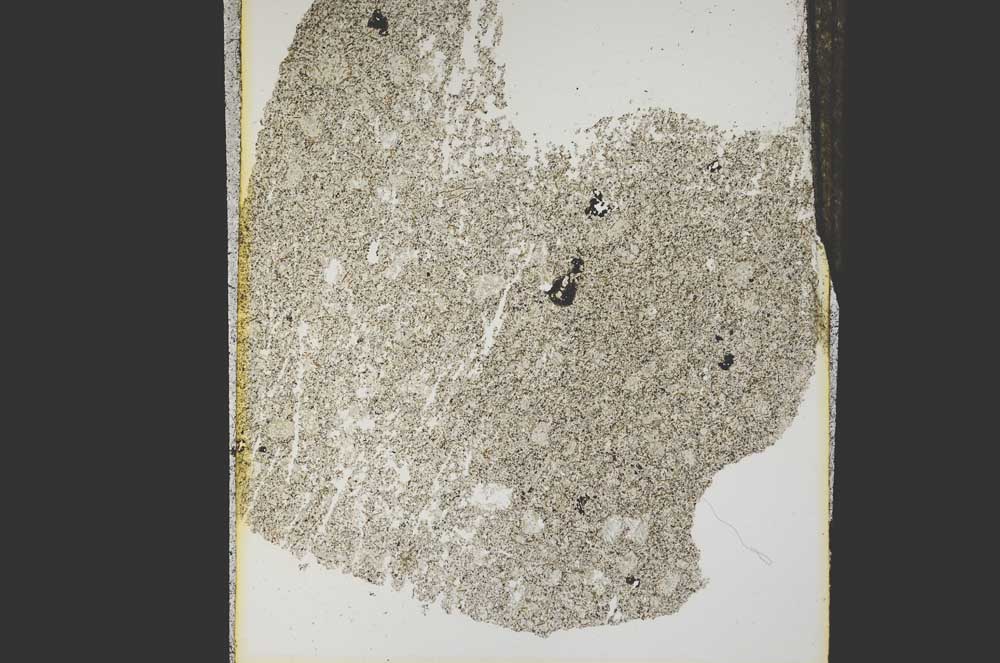 Plane Polarized, S15248
