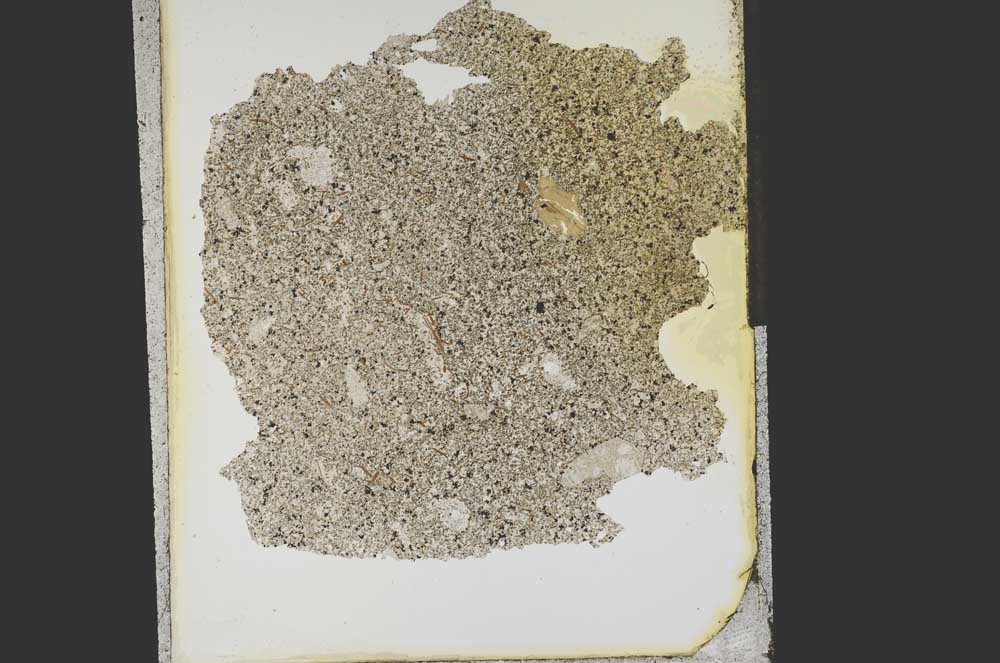 Plane Polarized, S15252