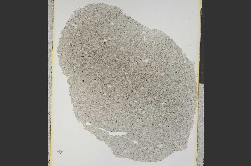 Plane Polarized, S15254