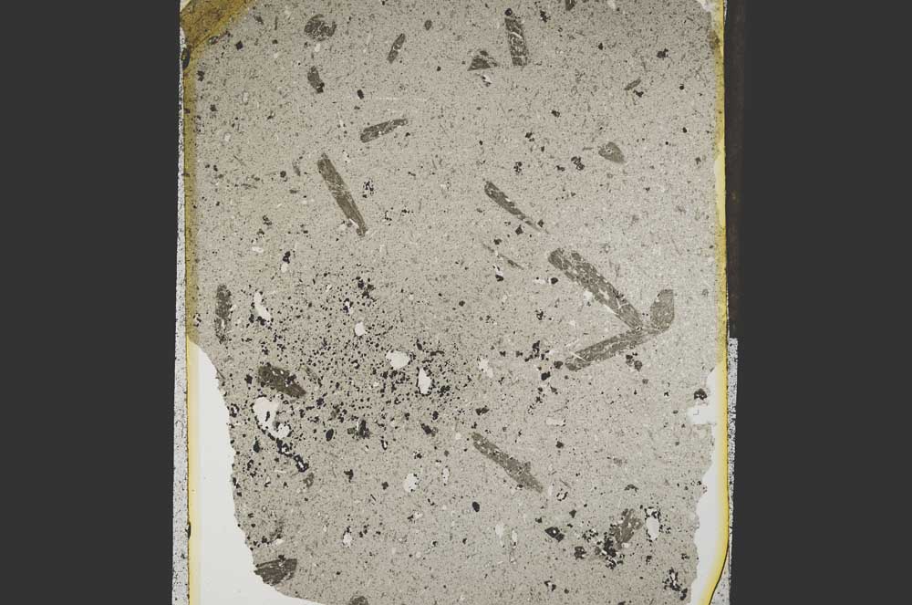 Plane Polarized, S15258