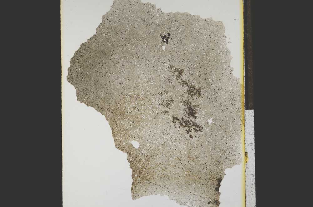 Plane Polarized, S15263