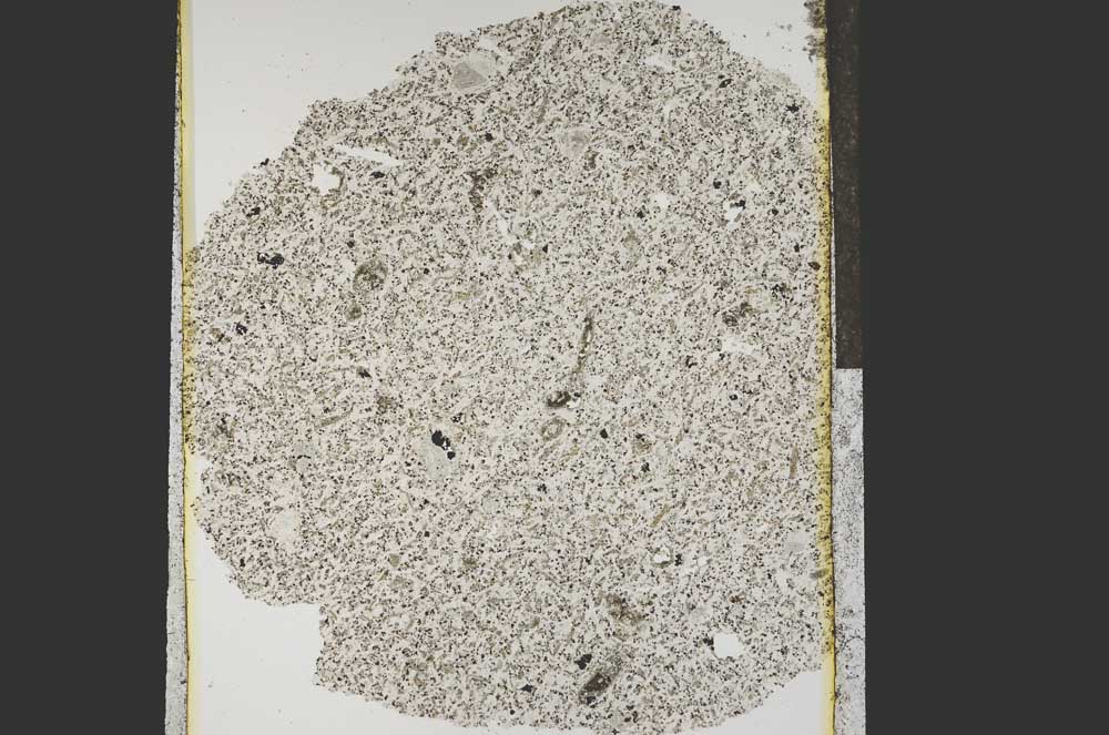 Plane Polarized, S15264
