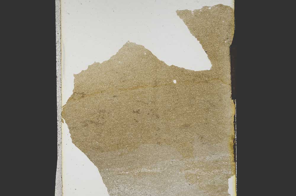 Plane Polarized, S15269