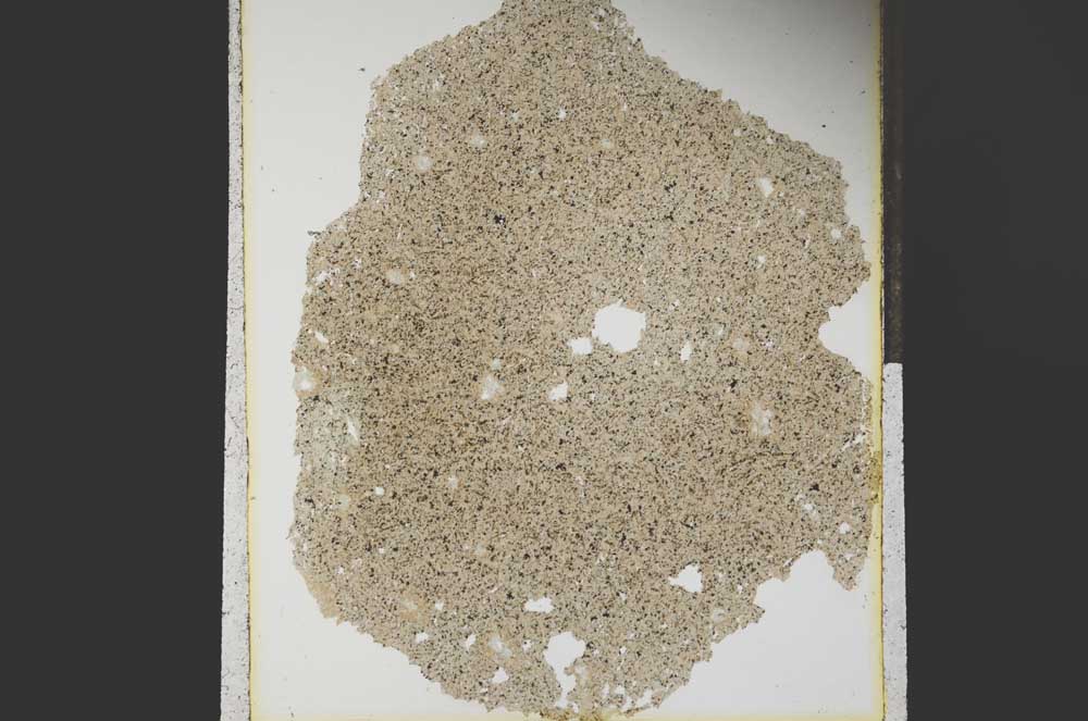 Plane Polarized, S15272