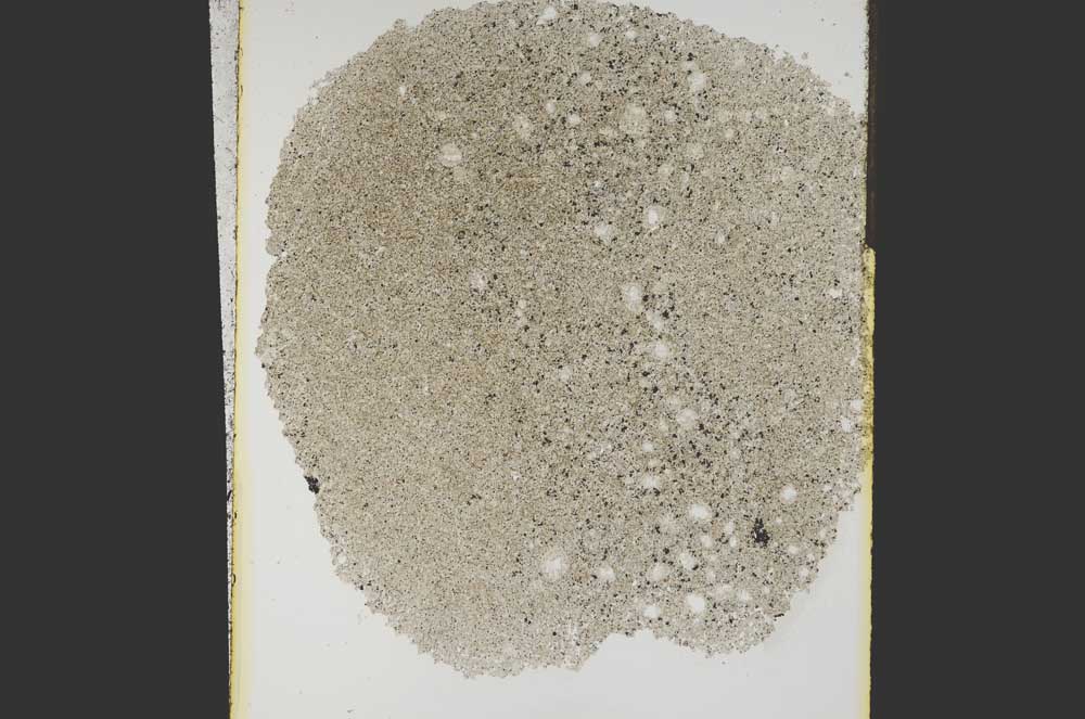 Plane Polarized, S15273