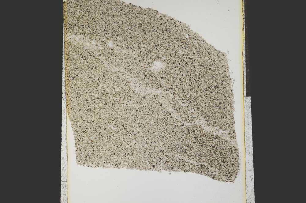 Plane Polarized, S15290