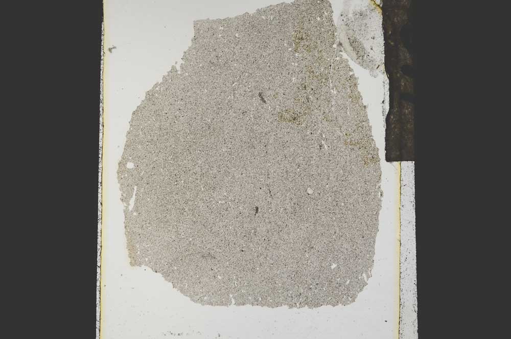 Plane Polarized, S15299