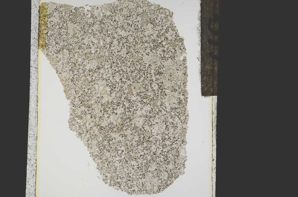 Plane Polarized, S15302