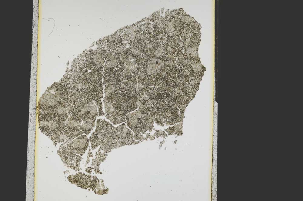 Plane Polarized, S15303