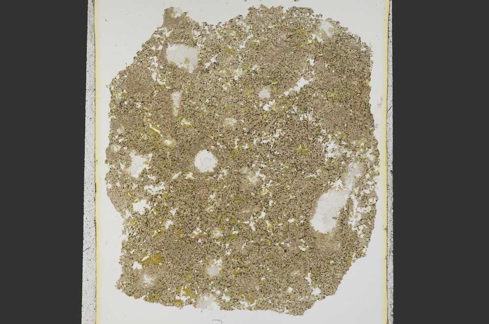 Plane Polarized, S15312