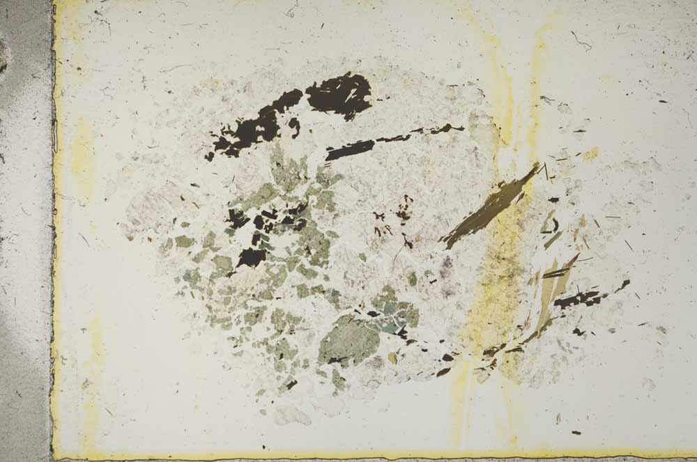 Plane Polarized, S15329