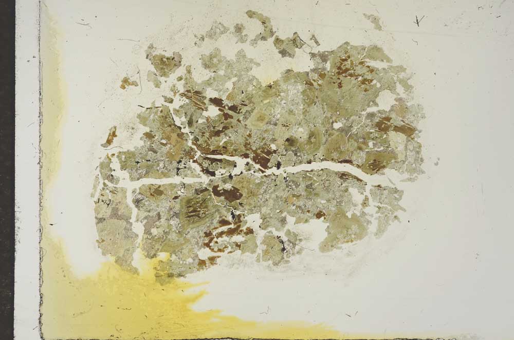 Plane Polarized, S15337