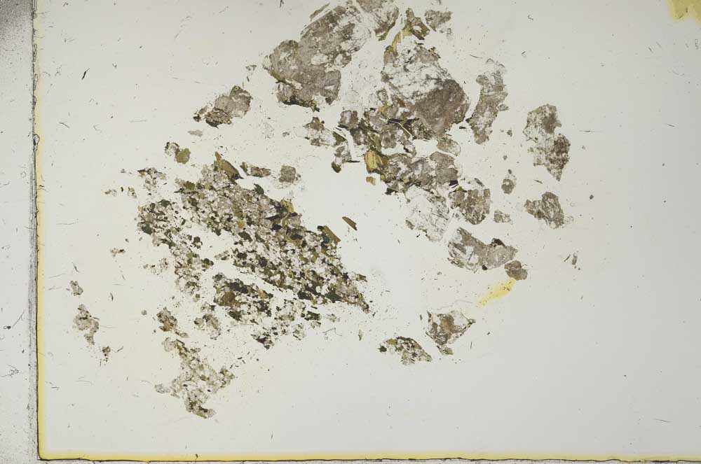 Plane Polarized, S15351