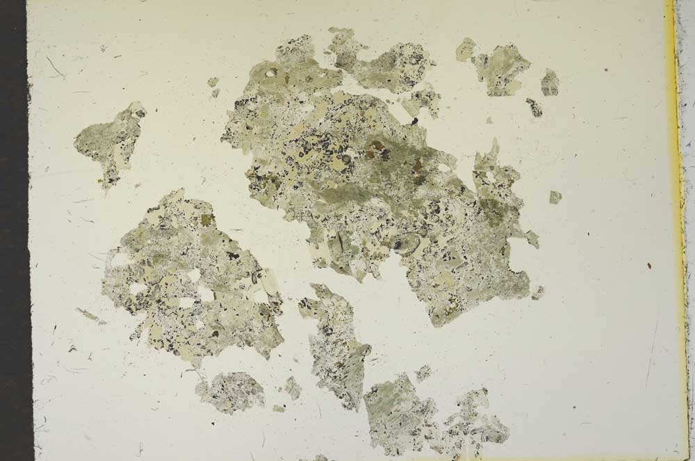 Plane Polarized, S15352