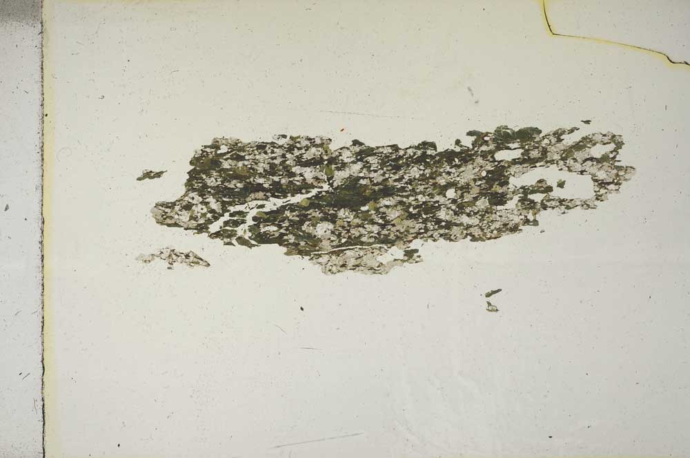 Plane Polarized, S15357
