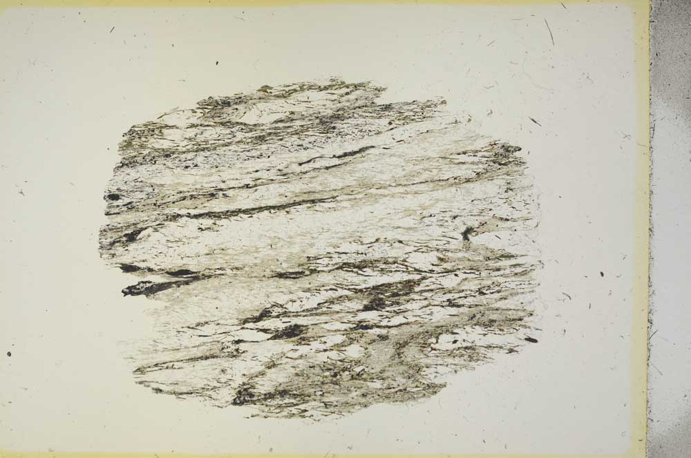Plane Polarized, S15361