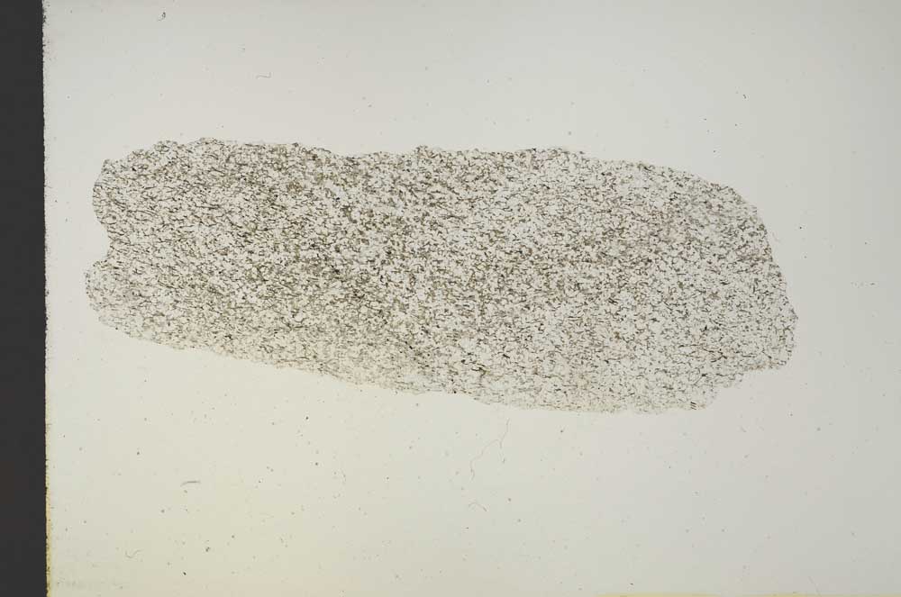 Plane Polarized, S15365