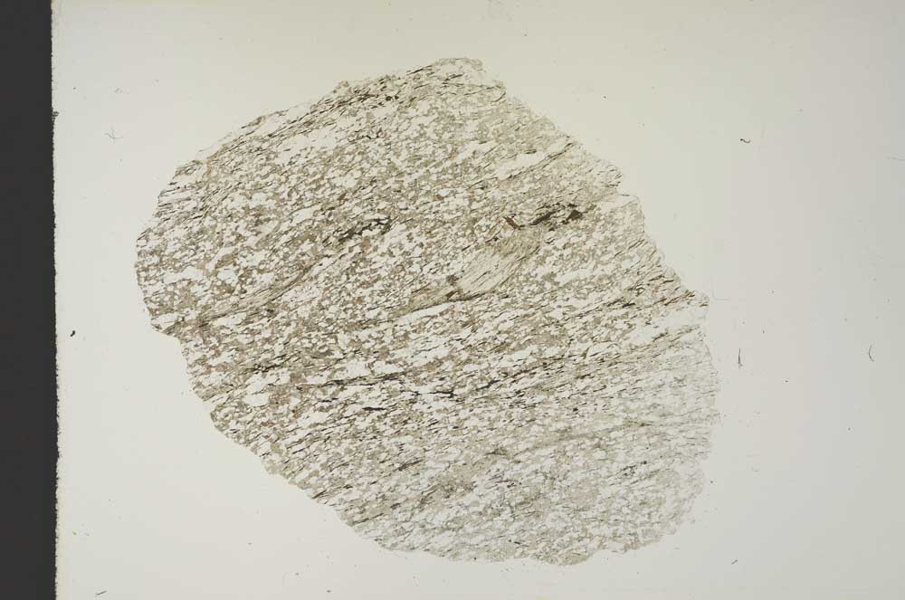 Plane Polarized, S15366