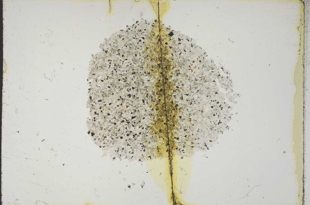 Plane Polarized, S15381