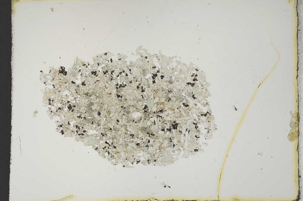 Plane Polarized, S15382