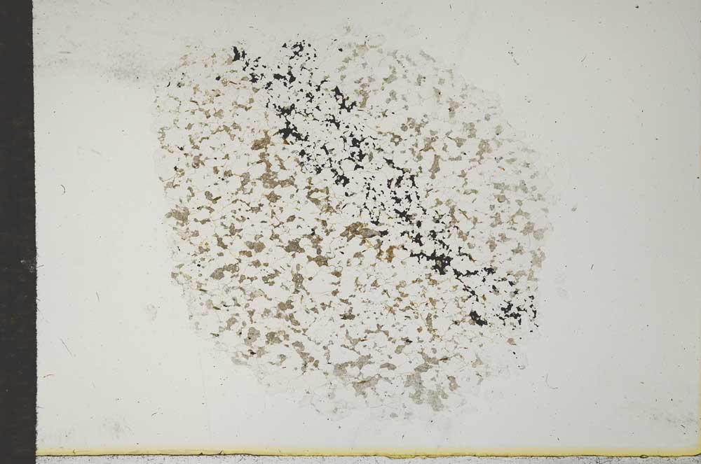 Plane Polarized, S15397