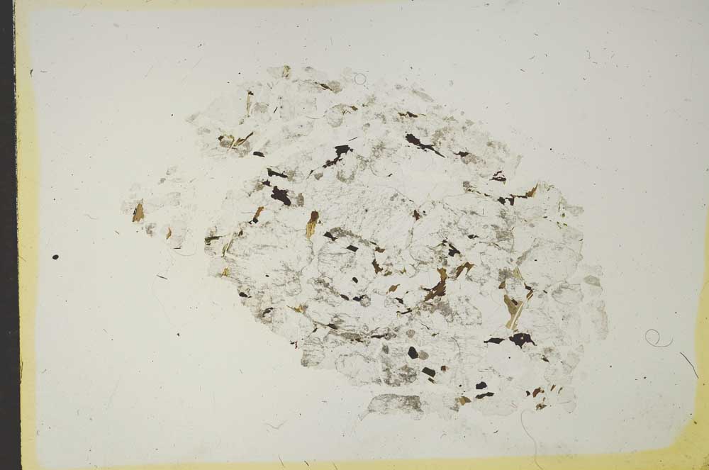 Plane Polarized, S15399