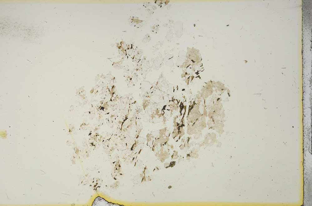 Plane Polarized, S15401