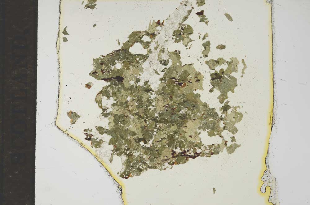 Plane Polarized, S15404