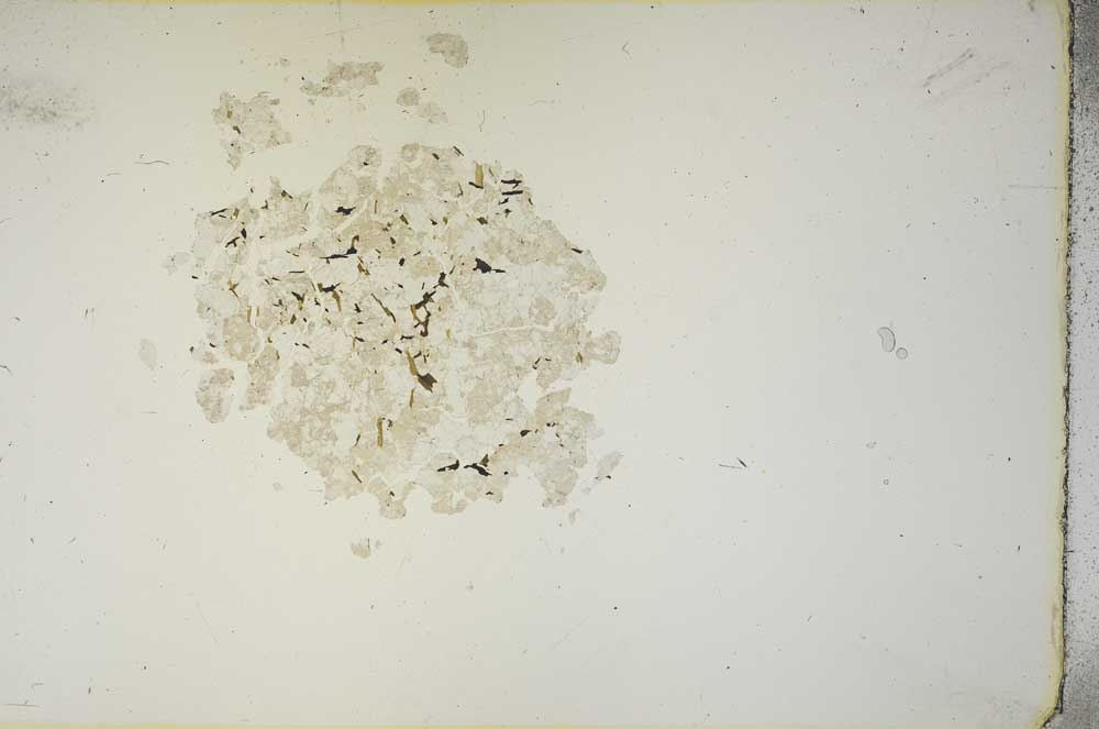 Plane Polarized, S15405