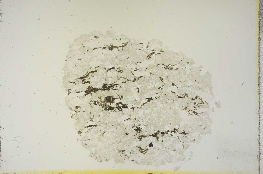 Plane Polarized, S15409