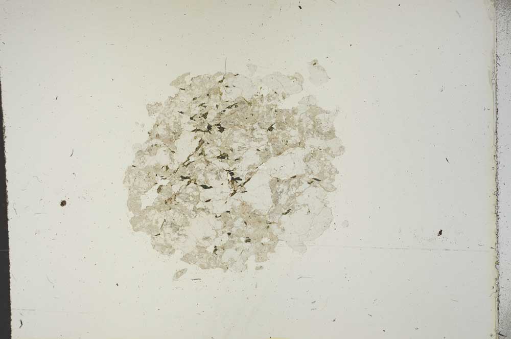 Plane Polarized, S15416