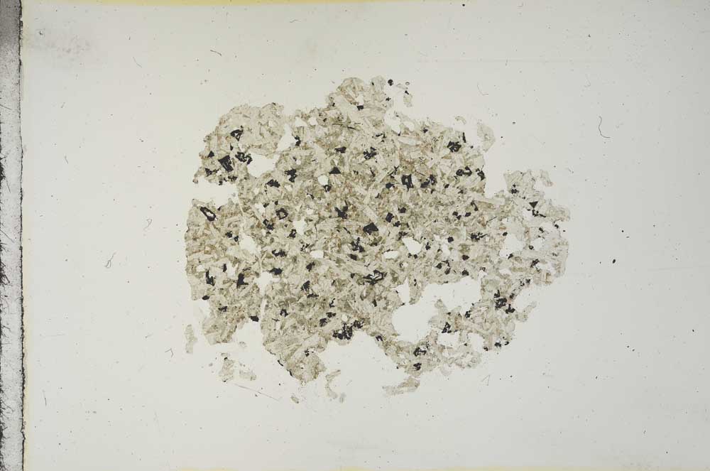 Plane Polarized, S15424