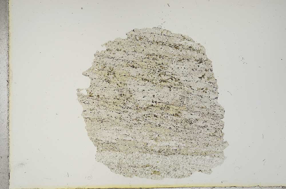 Plane Polarized, S15448