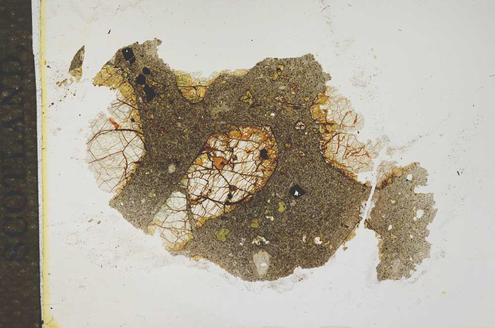 Plane Polarized, S15452
