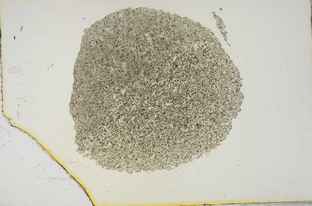 Plane Polarized, S15453