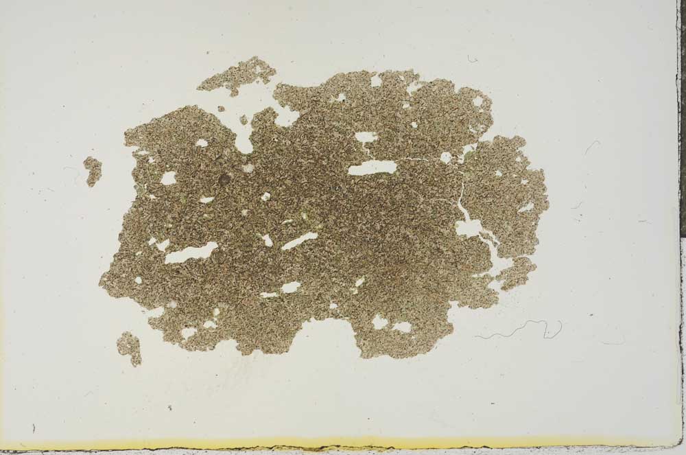 Plane Polarized, S15458