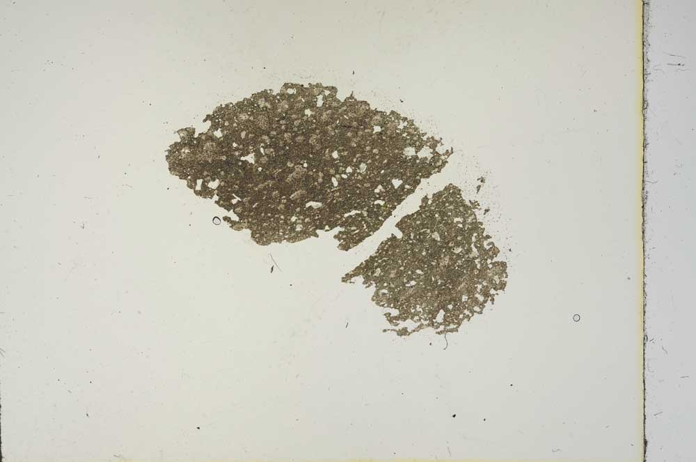 Plane Polarized, S15463