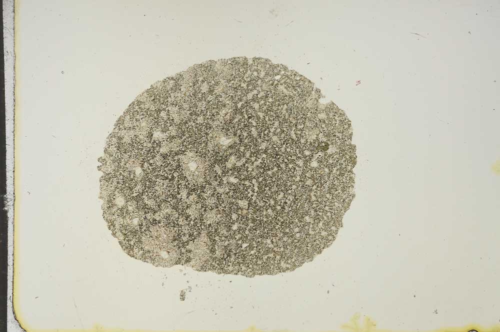 Plane Polarized, S15464