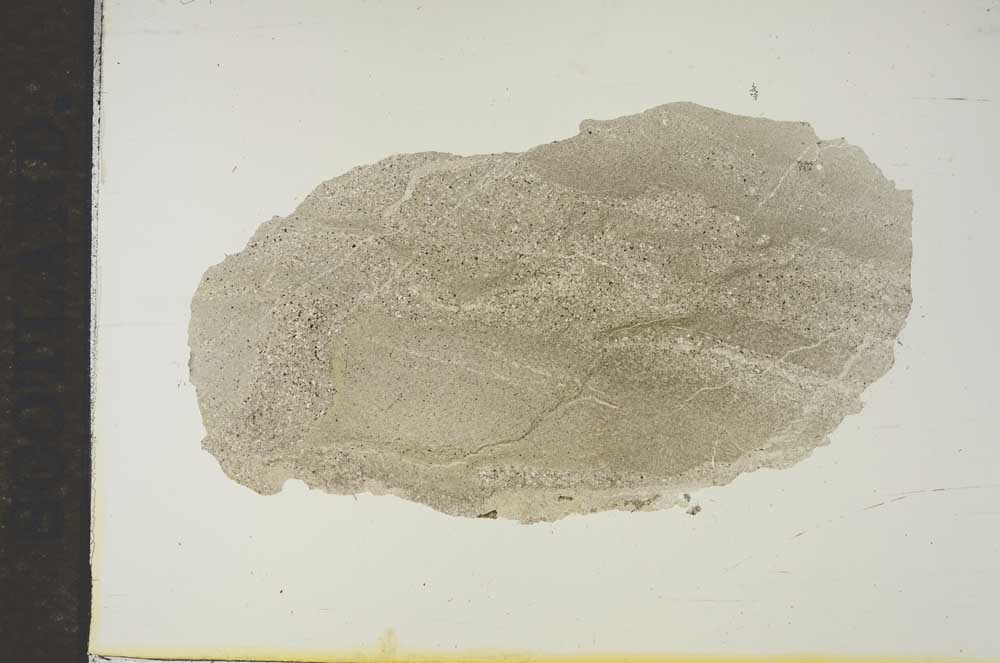 Plane Polarized, S15465
