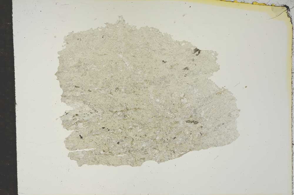 Plane Polarized, S15469