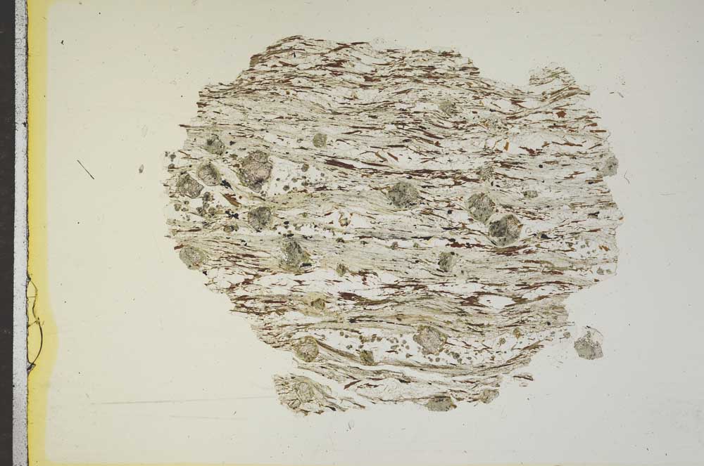 Plane Polarized, S15472
