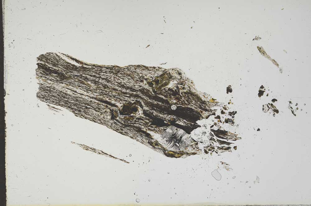 Plane Polarized, S15497/B