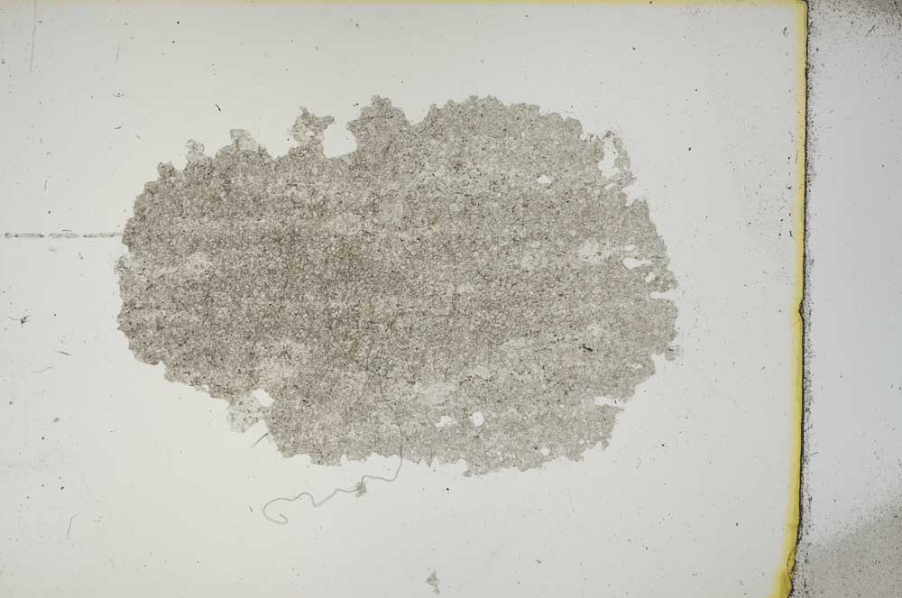 Plane Polarized, S15502