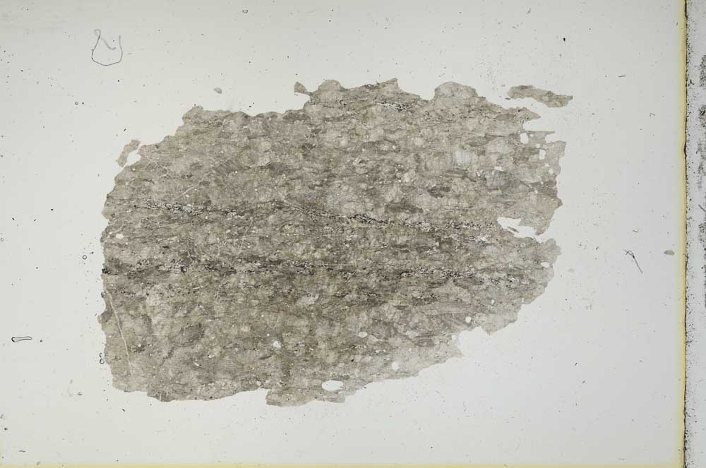 Plane Polarized, S15508