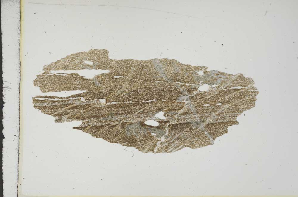 Plane Polarized, S15510
