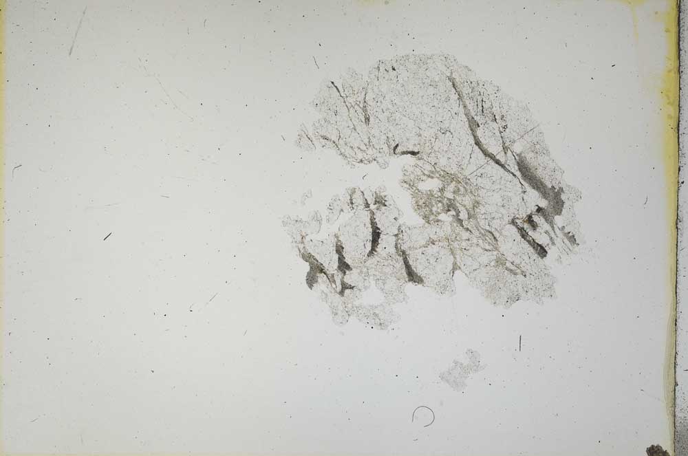Plane Polarized, S15511